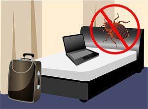 How To Avoid Staying At Hotels With Bed Bugs